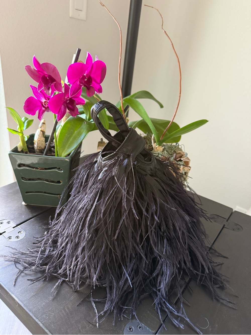 J. Crew Black Feathered Mini Bag